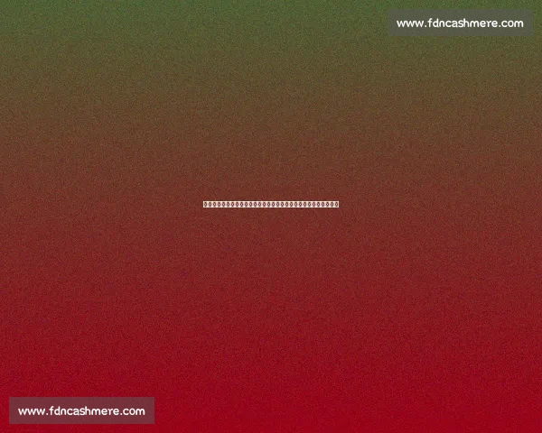 中国与亚洲格局对比中的发展路径与竞争优势解析未来走向研究全景