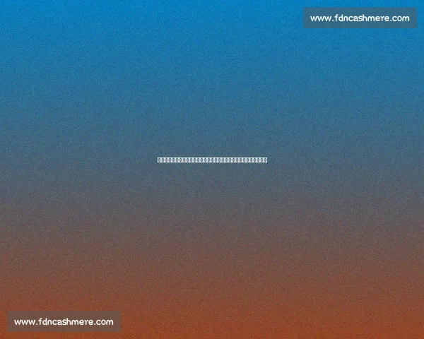 梅威瑟对阵嘴炮究竟打了几回合全程回顾与赛况解析比赛真相深度解读