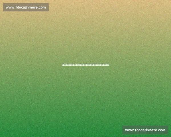 张开印对决播求巅峰一战胜负揭晓谁才是真正王者赛场全程回顾与技术解析