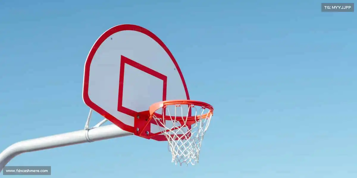 我们的品牌价值